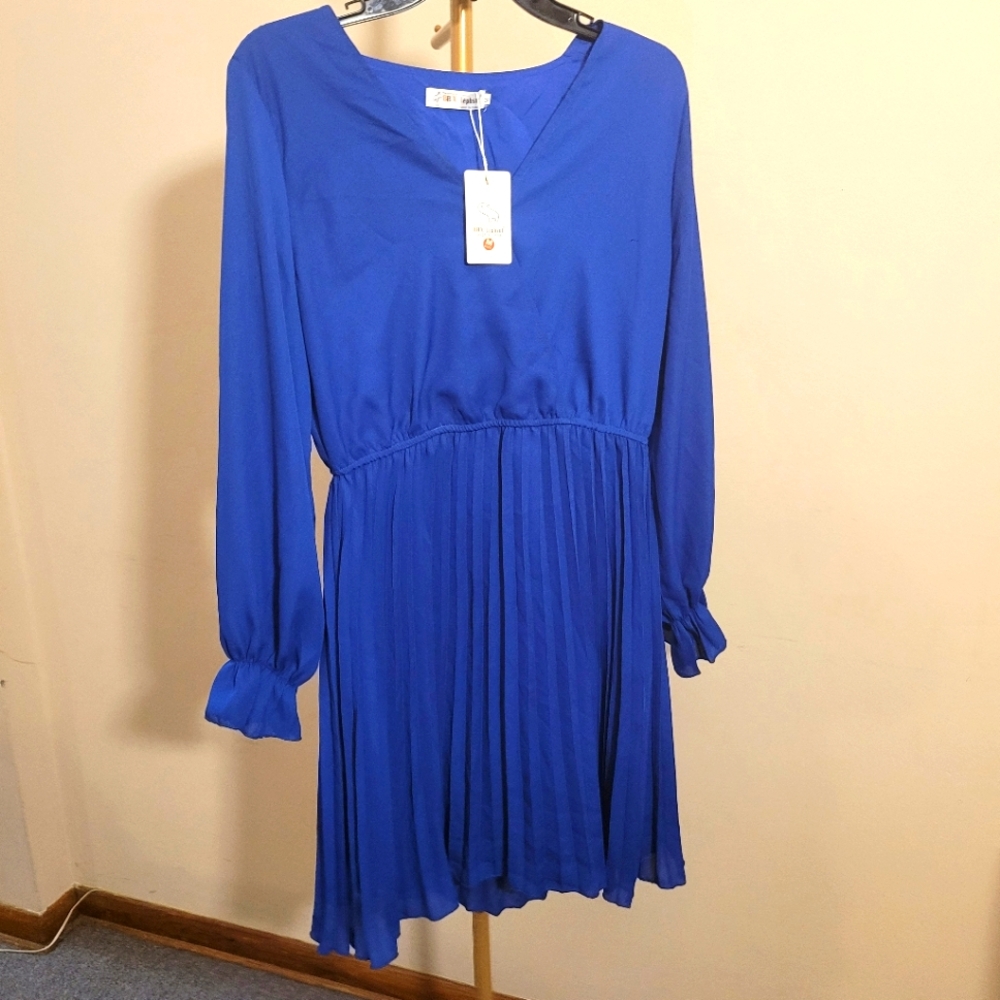 Vibrant Blue Long Sleeve Dress